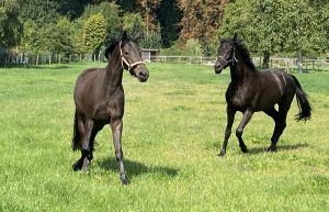 Trudi Weissena 3 Jahre alt